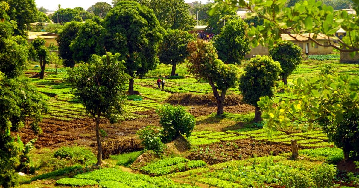 Burkina Faso, Burkina Faso