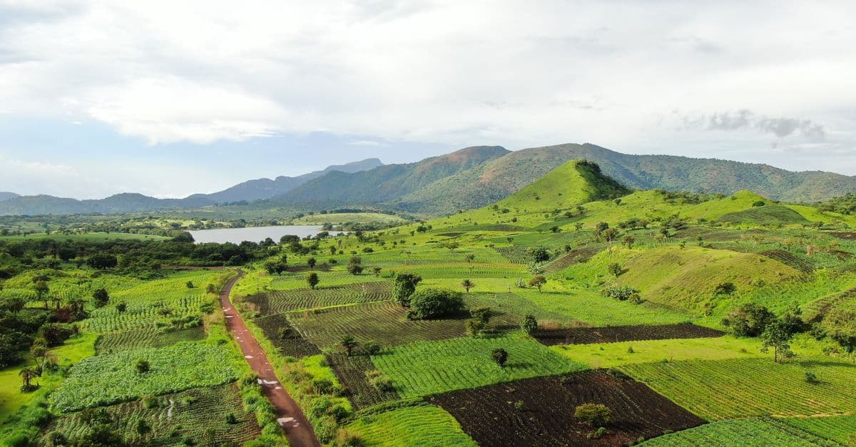 Cameroon, Cameroon