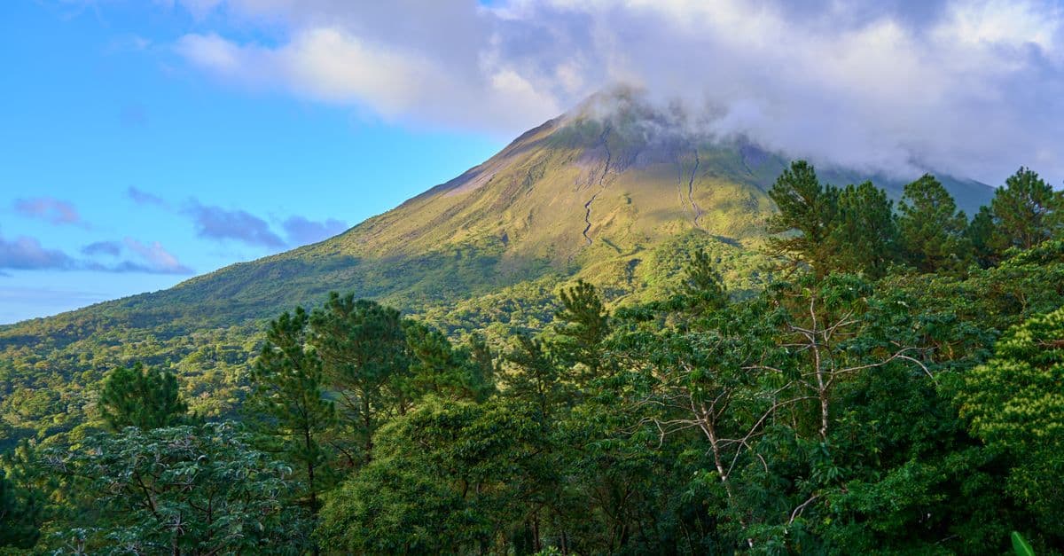 the Costa Rica rainforest, Costa Rica
