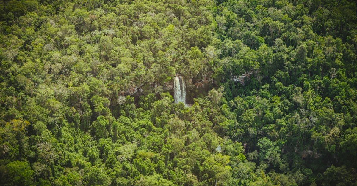 Kaieteur Falls, Guyana