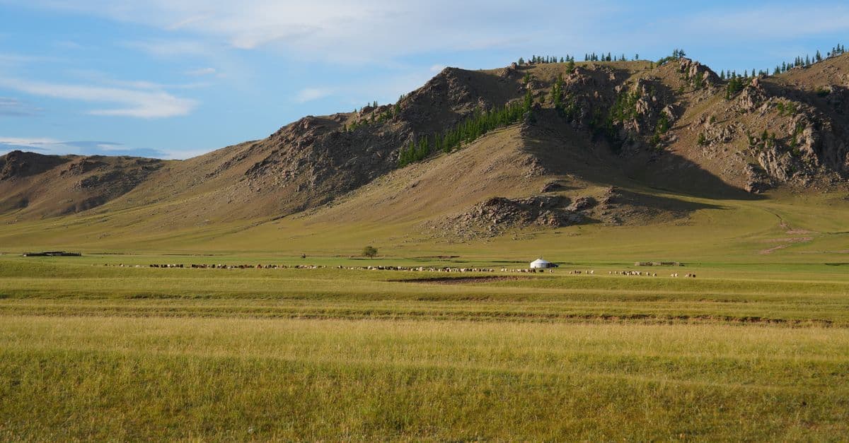 the Mongolian steppe, Mongolia