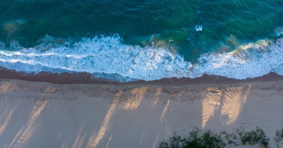 the Mozambique coast, Mozambique