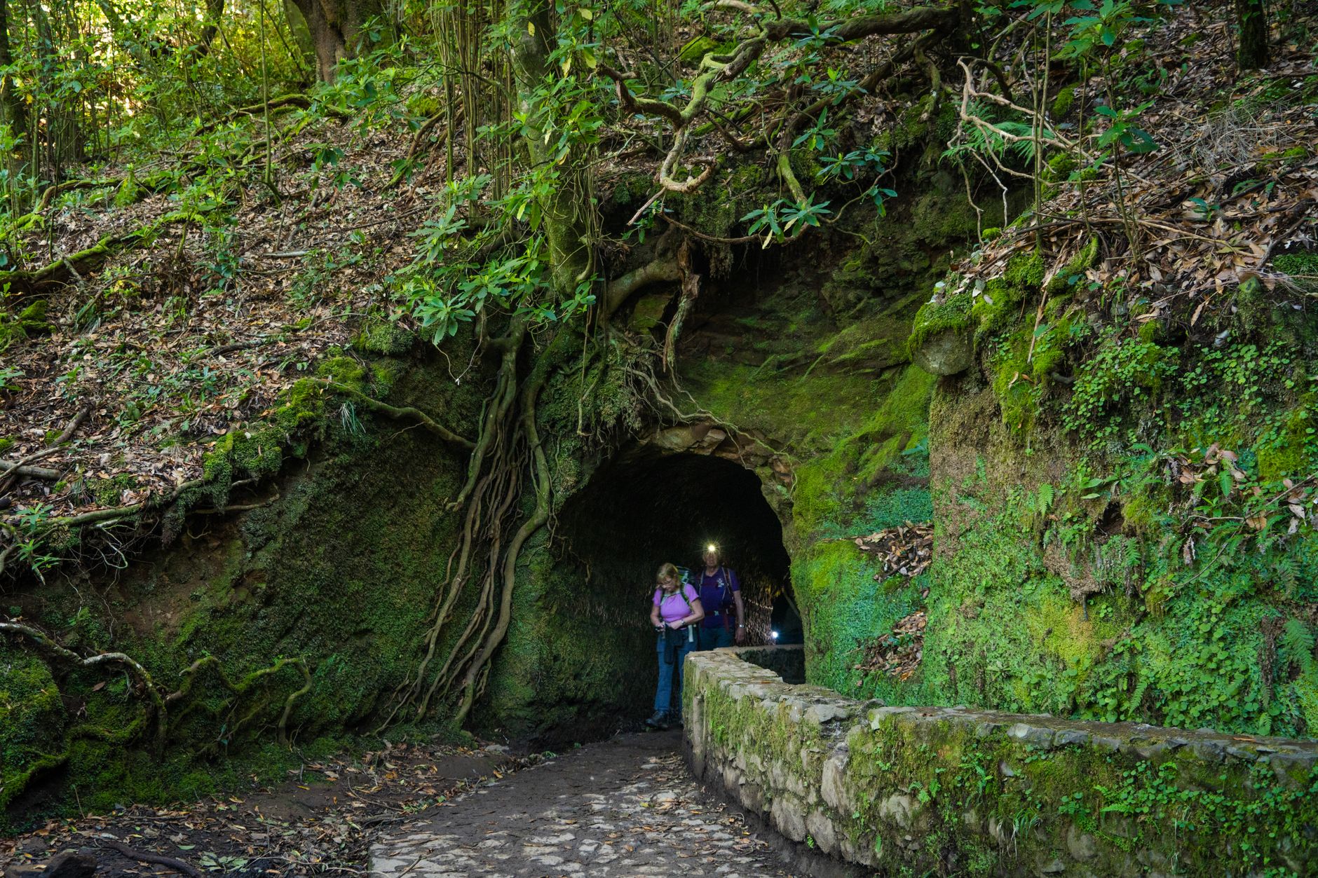 A person using a headlamp to navigate a dark, narrow tunnel on the Levada do Caldeirão Verde trail in Madeira.