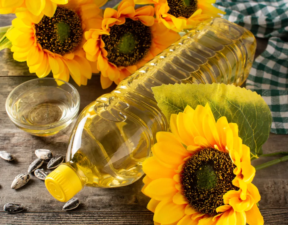 why is canola oil banned in europe