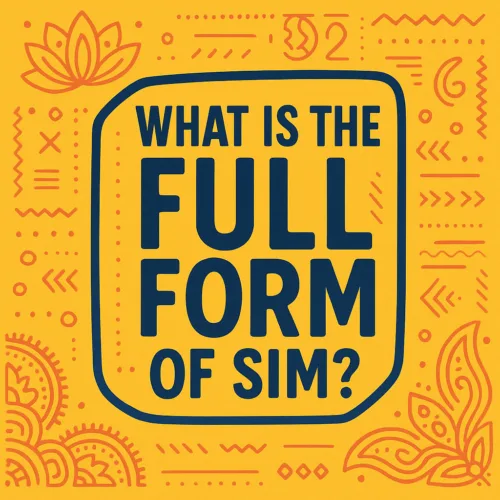 SIM full form