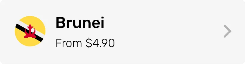 Brunei eSIM Category