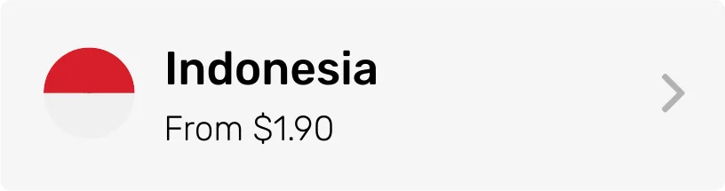 Indonesia eSIM Category