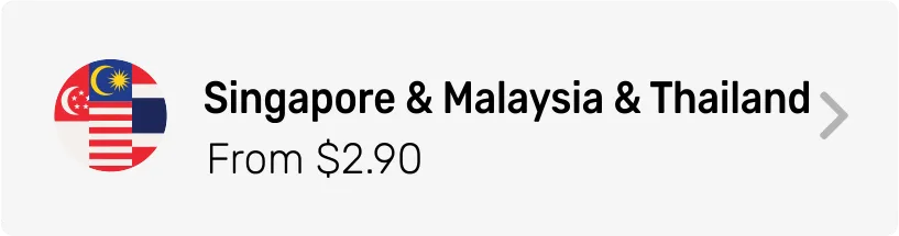 Singapore Multi Area eSIM Category