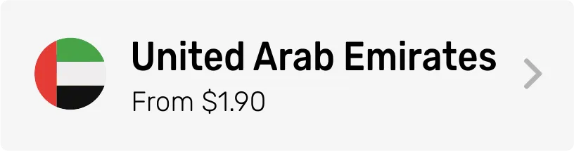 United Arab Emirates eSIM Category